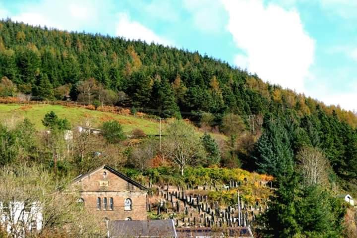 Selah Cottage, 21 Queen Street Pontrhydyfen Camera foto