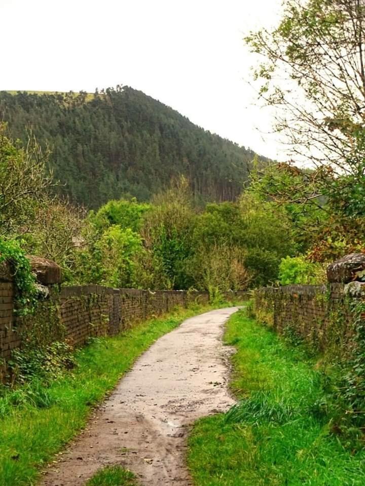 Selah Cottage, 21 Queen Street Pontrhydyfen Camera foto